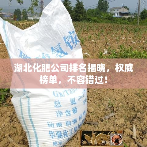 湖北化肥公司排名揭曉，權(quán)威榜單，不容錯過！