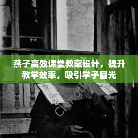 燕子高效課堂教案設(shè)計，提升教學(xué)效率，吸引學(xué)子目光