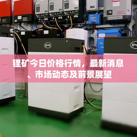 鋰礦今日價格行情，最新消息、市場動態(tài)及前景展望