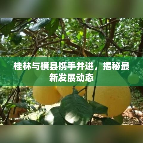 桂林與橫縣攜手并進(jìn)，揭秘最新發(fā)展動(dòng)態(tài)