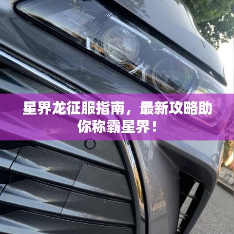 星界龍征服指南，最新攻略助你稱霸星界！