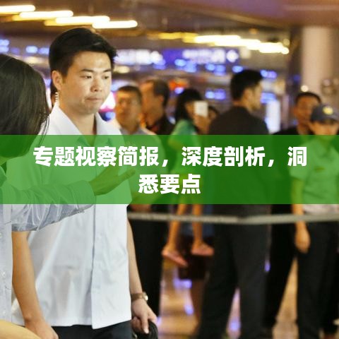 專題視察簡報，深度剖析，洞悉要點