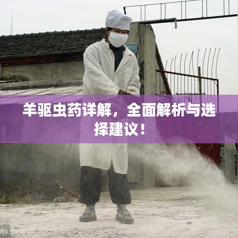 羊驅(qū)蟲藥詳解，全面解析與選擇建議！