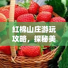 紅棉山莊游玩攻略，探秘美景，盡享度假時(shí)光！
