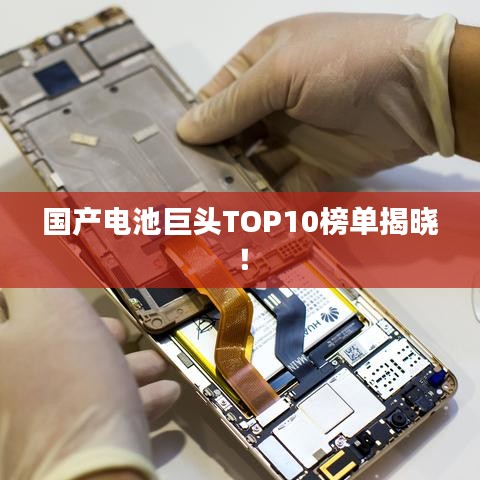 國產(chǎn)電池巨頭TOP10榜單揭曉！