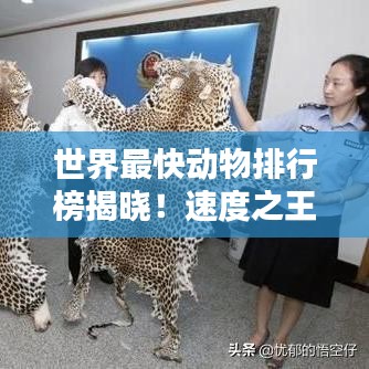 世界最快動(dòng)物排行榜揭曉！速度之王究竟是誰(shuí)？