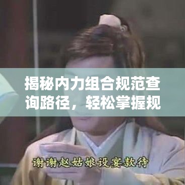 揭秘內(nèi)力組合規(guī)范查詢路徑，輕松掌握規(guī)范信息