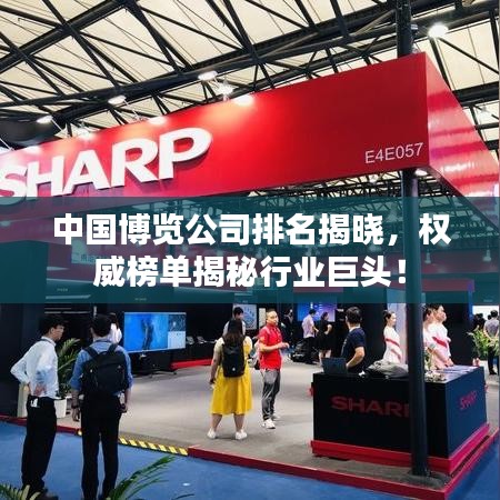 中國博覽公司排名揭曉，權威榜單揭秘行業(yè)巨頭！