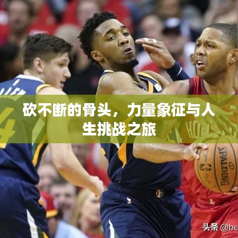 飛奇鉤貨 第3頁