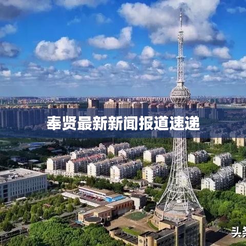 奉賢最新新聞報(bào)道速遞