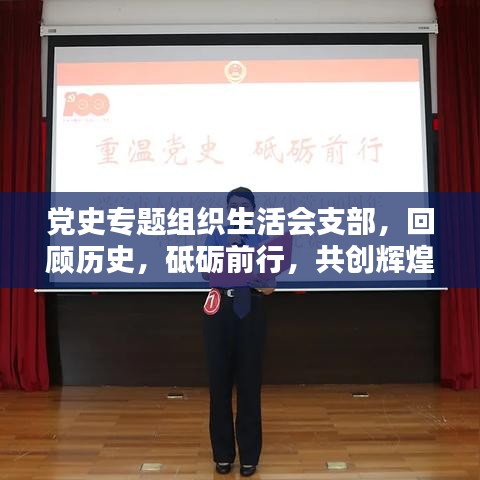 黨史專題組織生活會(huì)支部，回顧歷史，砥礪前行，共創(chuàng)輝煌