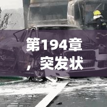 第194章，突發(fā)狀況緊急來襲