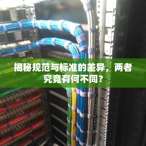 揭秘規(guī)范與標(biāo)準(zhǔn)的差異，兩者究竟有何不同？