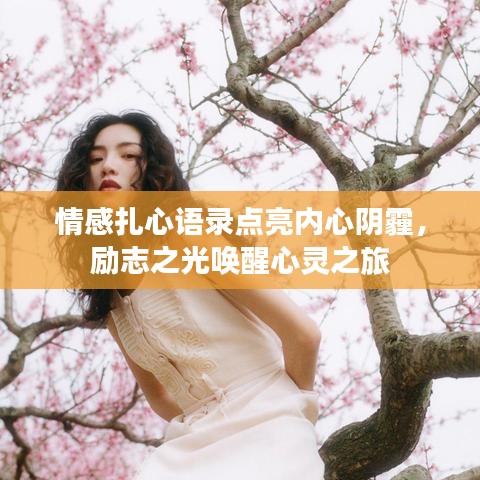 寥若晨星 第3頁