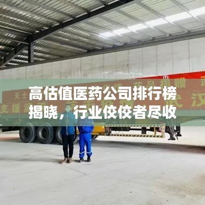 高估值醫(yī)藥公司排行榜揭曉，行業(yè)佼佼者盡收眼底！