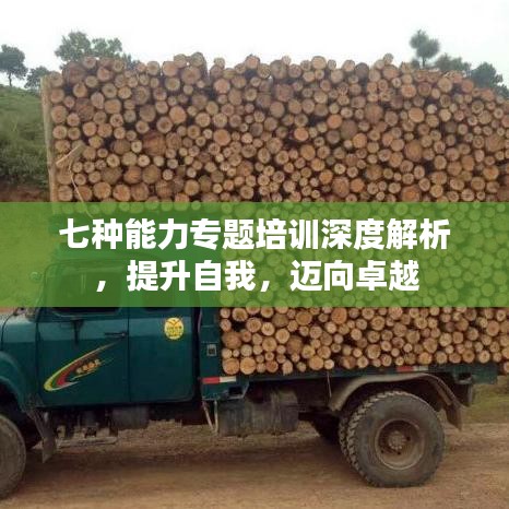 七種能力專題培訓深度解析，提升自我，邁向卓越
