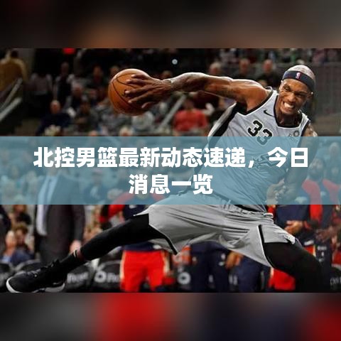 北控男籃最新動(dòng)態(tài)速遞，今日消息一覽