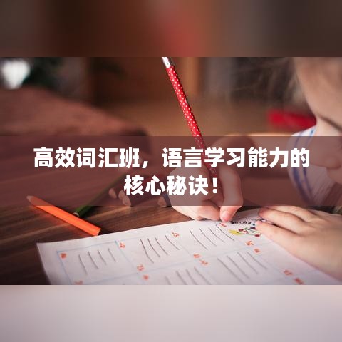 高效詞匯班，語言學(xué)習(xí)能力的核心秘訣！
