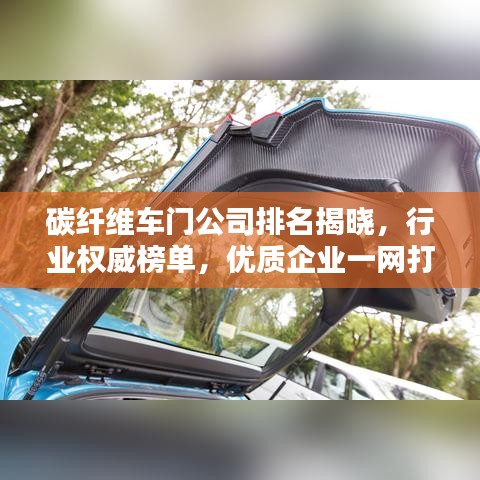 碳纖維車門公司排名揭曉，行業(yè)權(quán)威榜單，優(yōu)質(zhì)企業(yè)一網(wǎng)打盡！