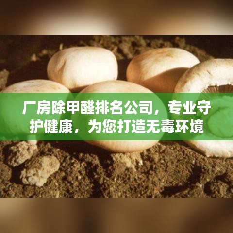 廠房除甲醛排名公司，專業(yè)守護健康，為您打造無毒環(huán)境