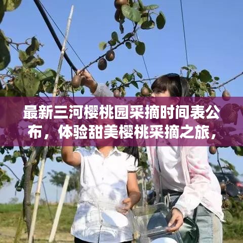 最新三河櫻桃園采摘時(shí)間表公布，體驗(yàn)甜美櫻桃采摘之旅，盡享自然盛宴！