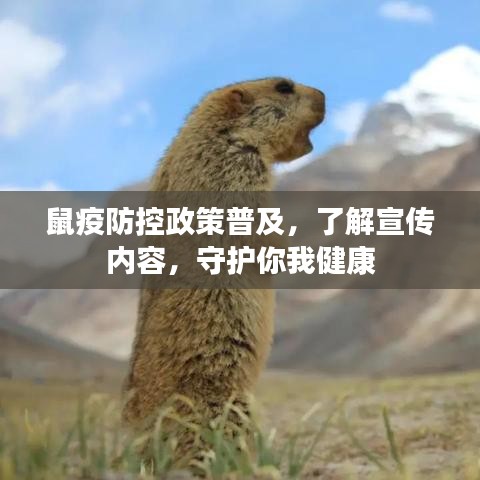 鼠疫防控政策普及，了解宣傳內(nèi)容，守護(hù)你我健康