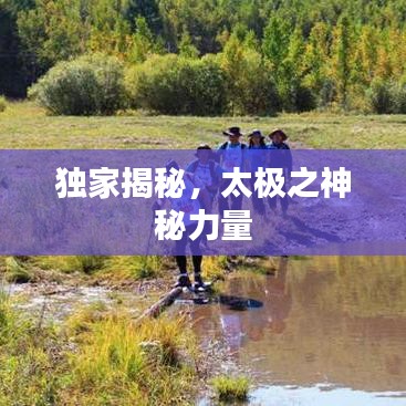 獨(dú)家揭秘，太極之神秘力量