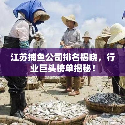 江蘇捕魚公司排名揭曉，行業(yè)巨頭榜單揭秘！