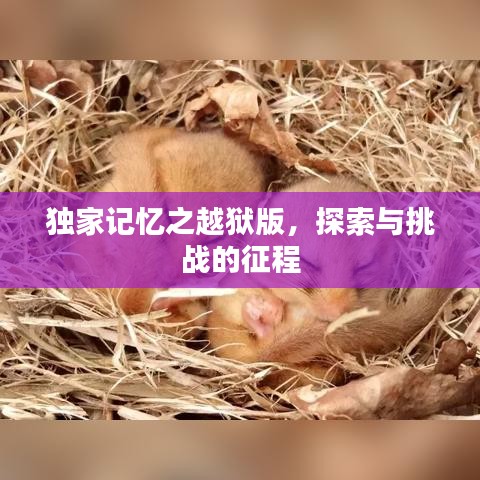 獨(dú)家記憶之越獄版，探索與挑戰(zhàn)的征程