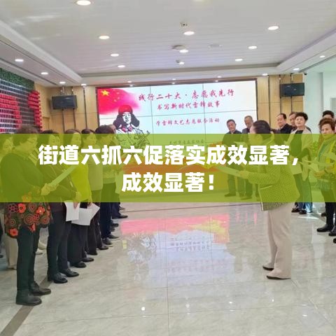 街道六抓六促落實(shí)成效顯著，成效顯著！