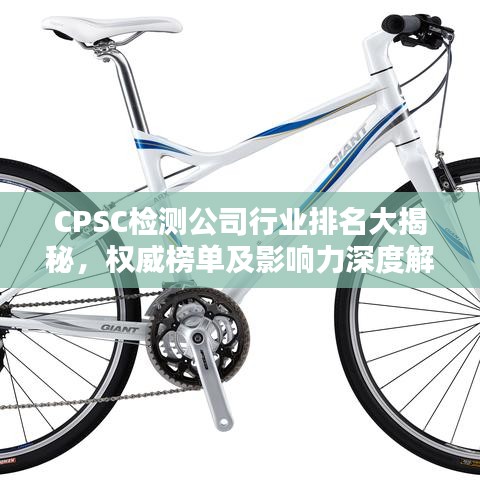 CPSC檢測公司行業(yè)排名大揭秘，權(quán)威榜單及影響力深度解析