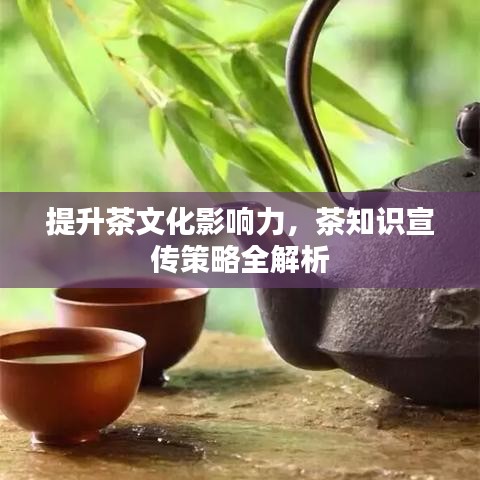 提升茶文化影響力，茶知識宣傳策略全解析