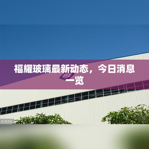 飛龍?jiān)谔?第3頁