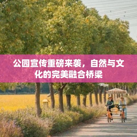 公園宣傳重磅來襲，自然與文化的完美融合橋梁