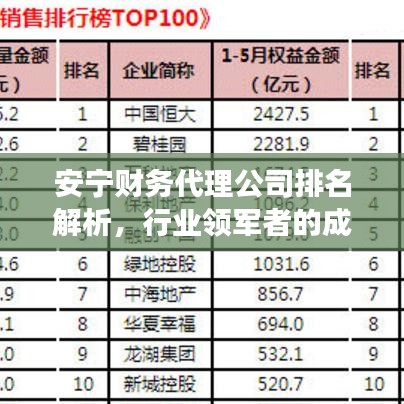 安寧財(cái)務(wù)代理公司排名解析，行業(yè)領(lǐng)軍者的成功秘訣大揭秘！