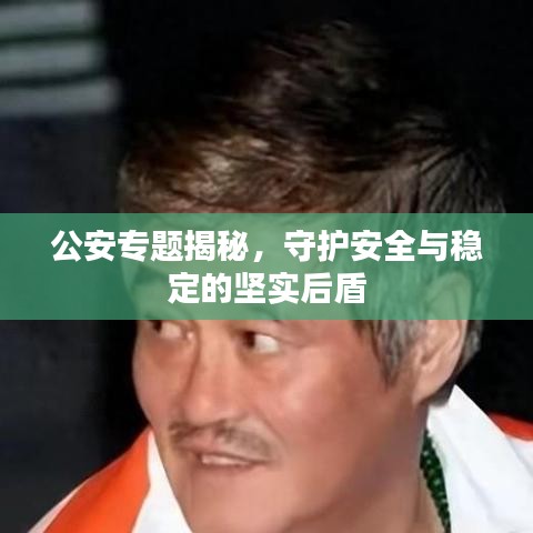 公安專(zhuān)題揭秘，守護(hù)安全與穩(wěn)定的堅(jiān)實(shí)后盾