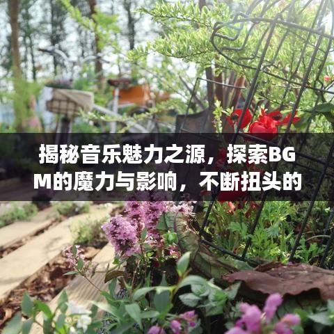 天生萬物，唯人為貴 第3頁