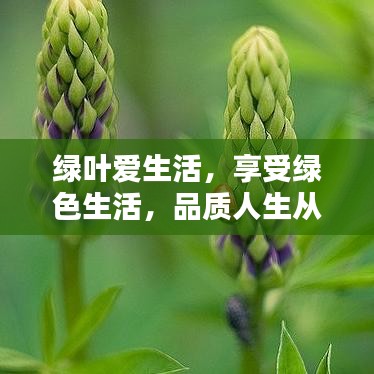 綠葉愛生活，享受綠色生活，品質(zhì)人生從這里開始！