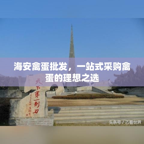 海安禽蛋批發(fā)，一站式采購禽蛋的理想之選