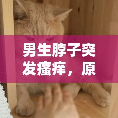 男生脖子突發(fā)瘙癢，原因解析、處理方法與預(yù)防策略