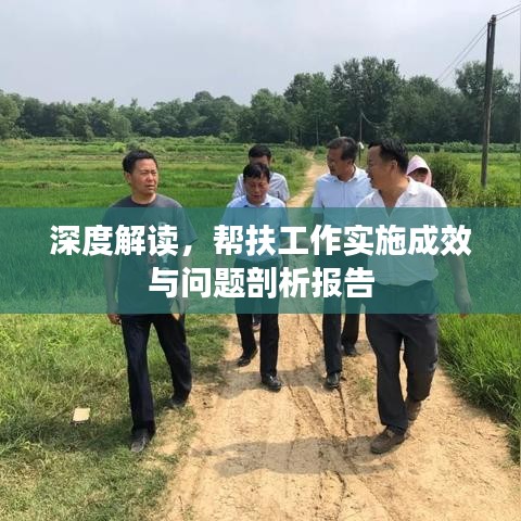 深度解讀，幫扶工作實施成效與問題剖析報告
