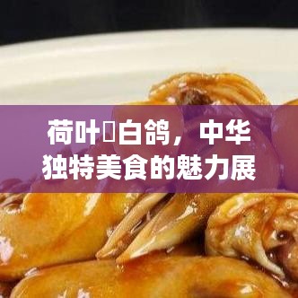 荷葉焗白鴿，中華獨特美食的魅力展現(xiàn)