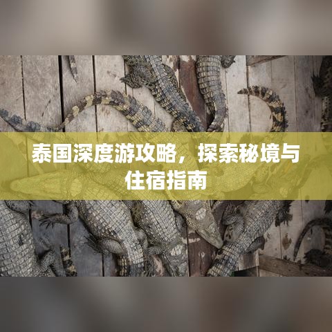 泰國深度游攻略，探索秘境與住宿指南