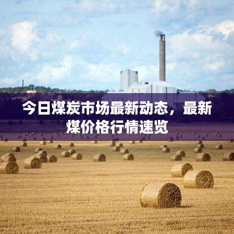 今日煤炭市場最新動(dòng)態(tài)，最新煤價(jià)格行情速覽