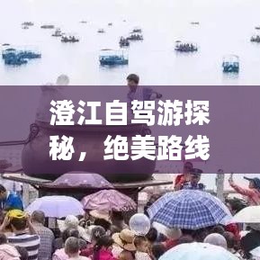 澄江自駕游探秘，絕美路線一網(wǎng)打盡！