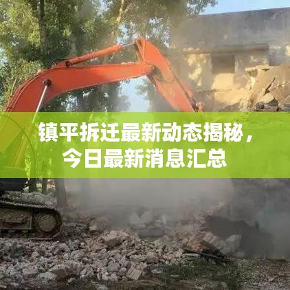 鎮(zhèn)平拆遷最新動(dòng)態(tài)揭秘，今日最新消息匯總