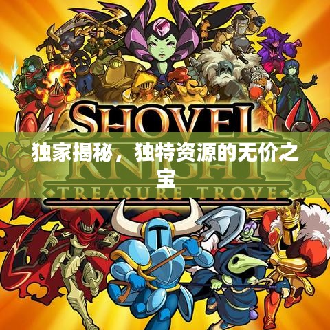 獨家揭秘，獨特資源的無價之寶