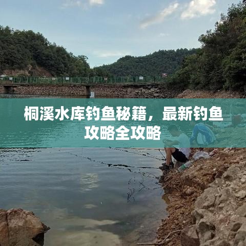 桐溪水庫釣魚秘籍，最新釣魚攻略全攻略