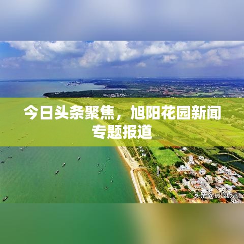 今日頭條聚焦，旭陽(yáng)花園新聞專題報(bào)道
