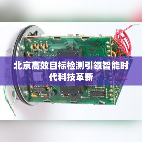 小鳥(niǎo)伊人 第3頁(yè)